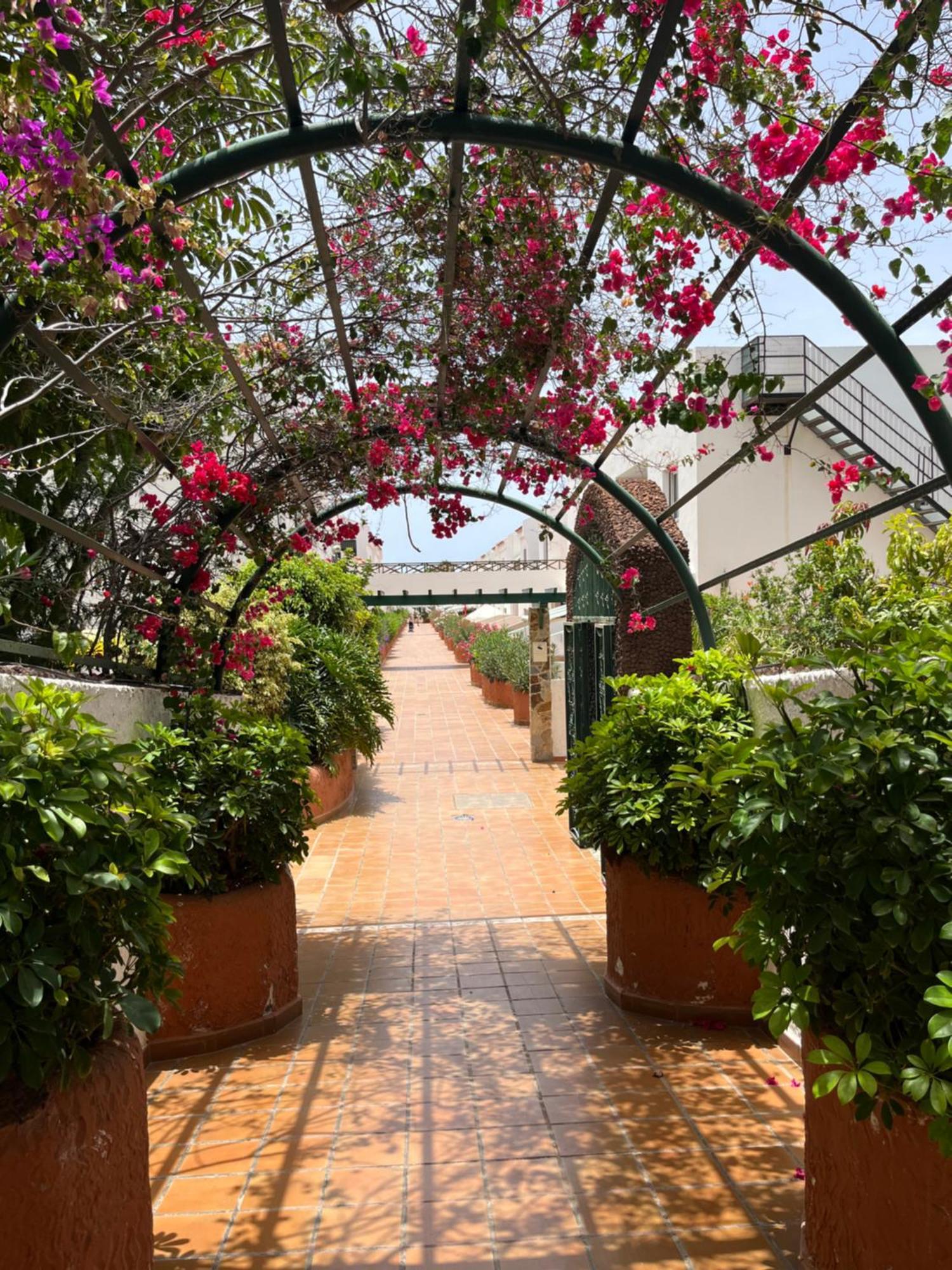 Appartamento Casa Parque Don Jose 2 Costa Del Silencio Esterno foto